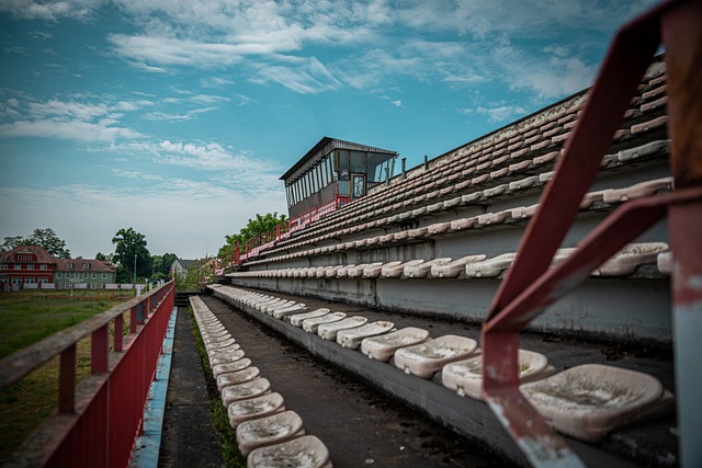 乓球界的佼 乓球界的佼