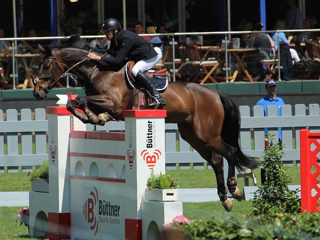 是他对球队 是他对球队