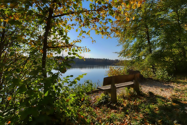 C罗补时造点，他走到马内身边让马内来主罚43亮76回复.