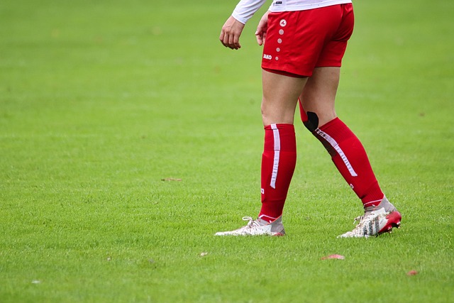 裏夫斯稱詹姆斯和八村仿佛得到了上帝的特別眷顧 他們的表現真是無與倫比.